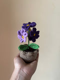 Mini Daisy Flower Pot (Purple & Lavender)