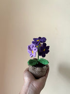 Mini Daisy Flower Pot (Purple & Lavender)