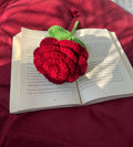 The Classic One Rose