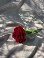 The Classic One Rose