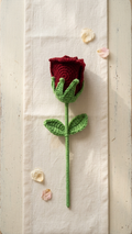 Promise Rose