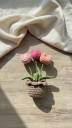 Tulip Flower Pot